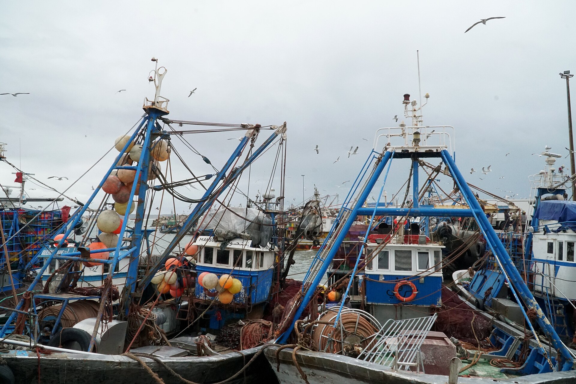 Le port